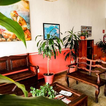 Hostal De La Niebla Xalapa Buitenkant foto